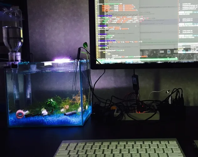 エビ水槽を新しくした