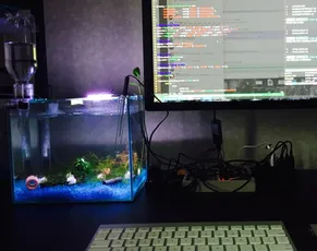 エビ水槽を新しくした